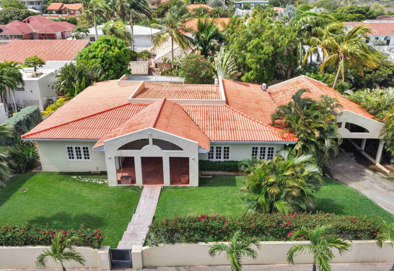 Luxe woning in De Hoop met grote tuin en palmboom.