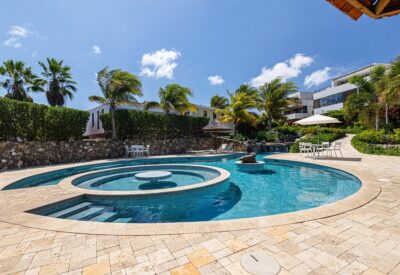 Luxe zwembad met jacuzzi en palmbomen bij Jan Sofat.
